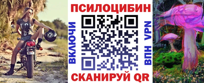 как найти   Ленинск  Псилоцибиновые грибы Cubensis 